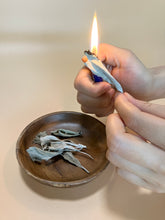 画像をギャラリービューアに読み込む, hilltop herbs ✴︎ ホワイトセージ (スマッジング専用)