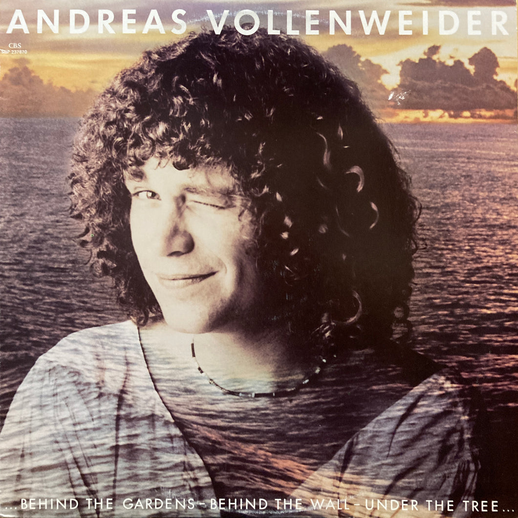 Andreas Vollenweider “…Behind the Gardens - Behind the Wall…”