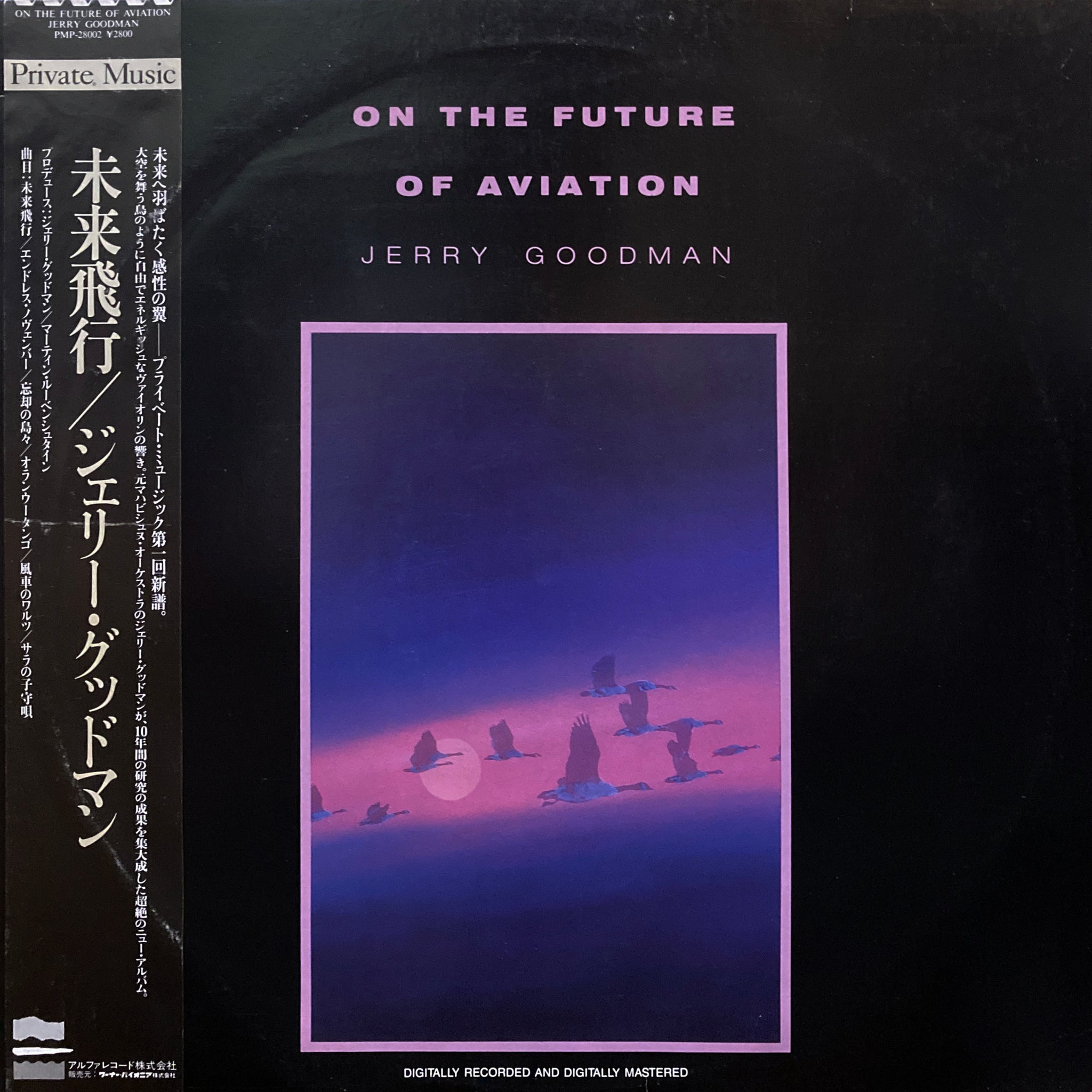 Jerry Goodman “On the Future of Aviation” – PHYSICAL STORE