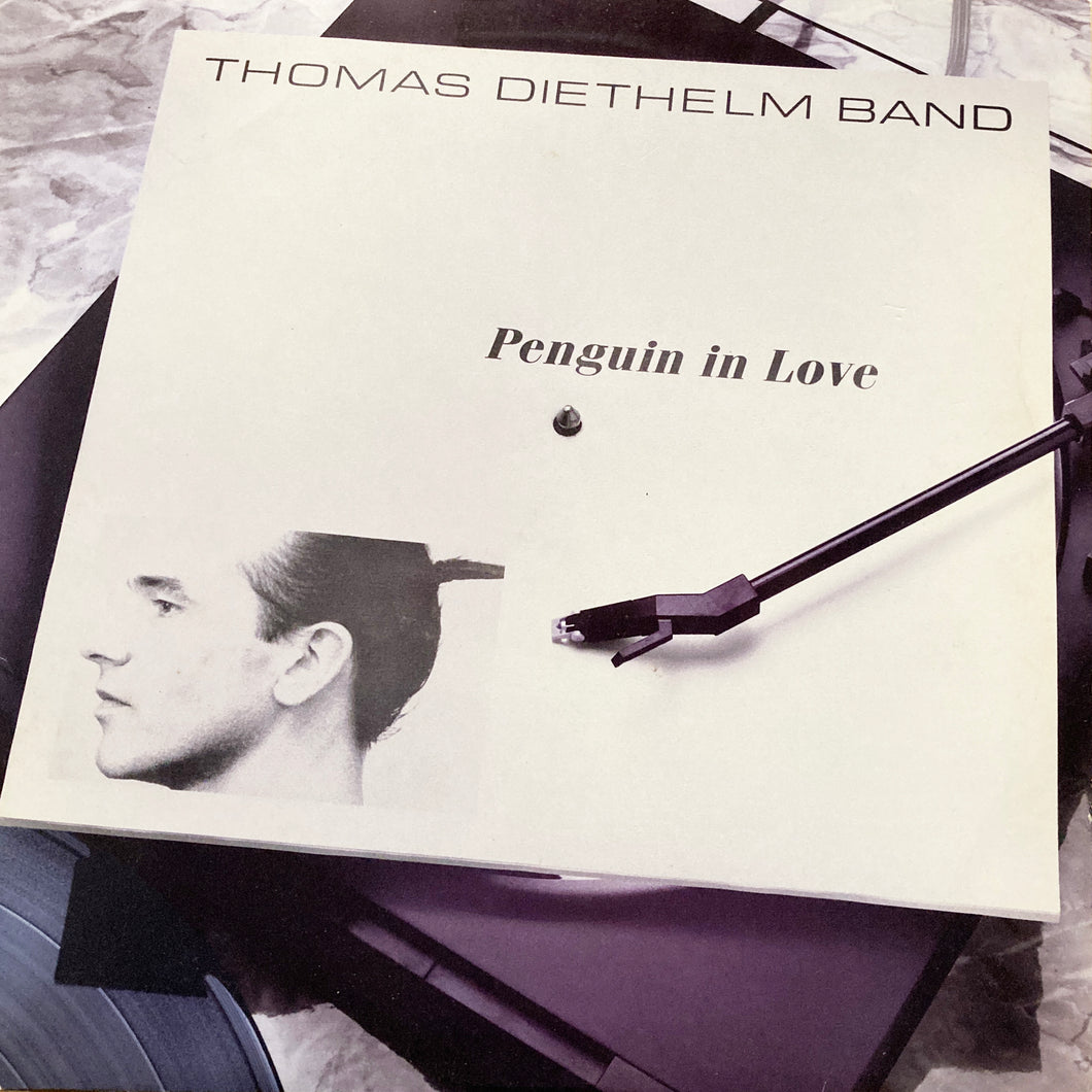 Thomas Diethelm Band 