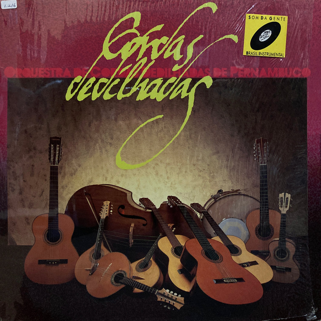 Orquestra de Cordas Dedilhadas de Pernambuco “S.T.”