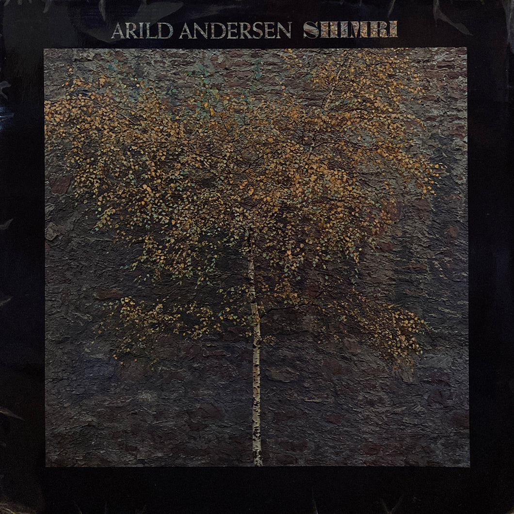 Arild Andersen “Shimri”