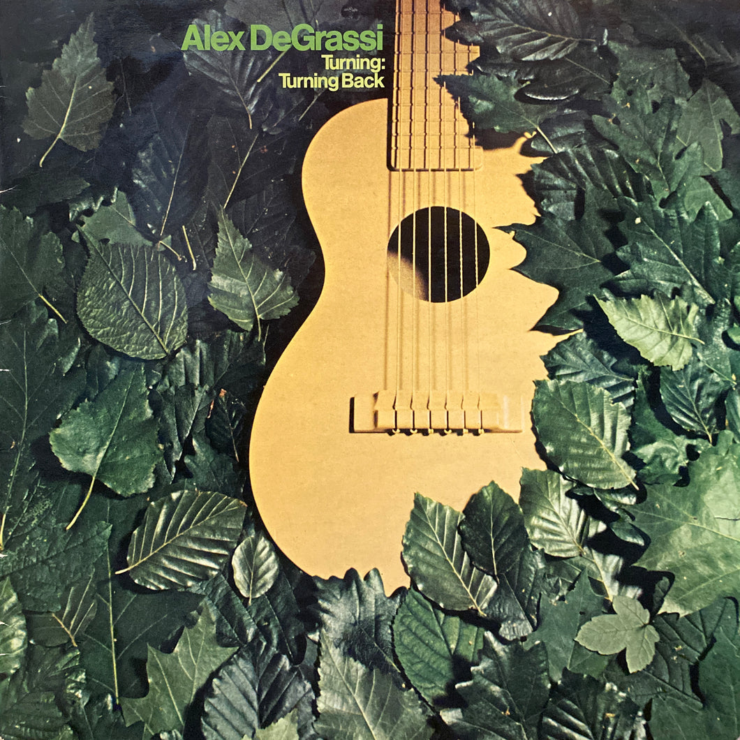 Alex DeGrassi “Turning: Turning Back”