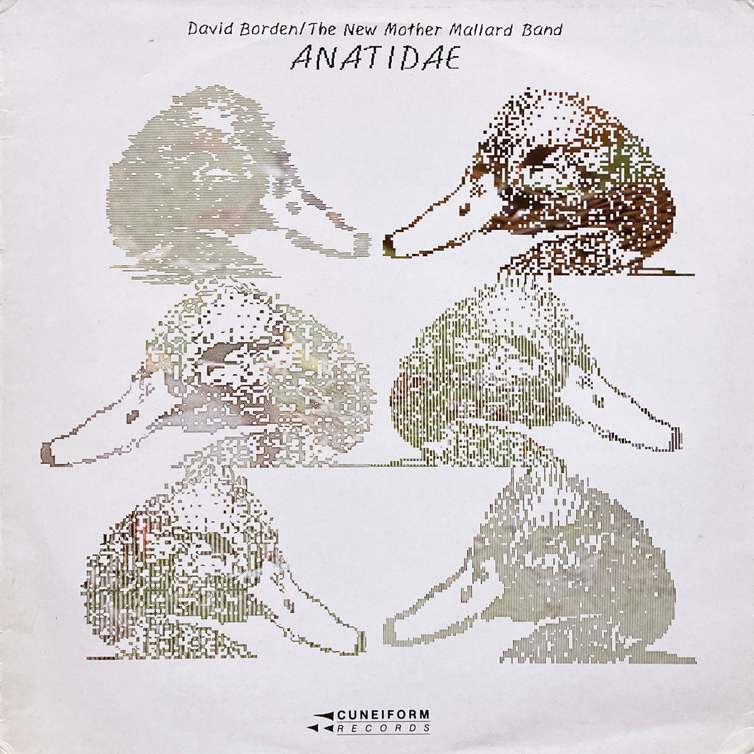 David Borden “Anatidae”