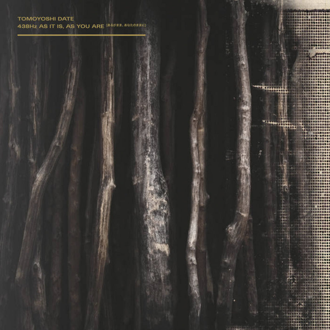 Tomoyoshi Date “438Hz As It Is, As You Are”