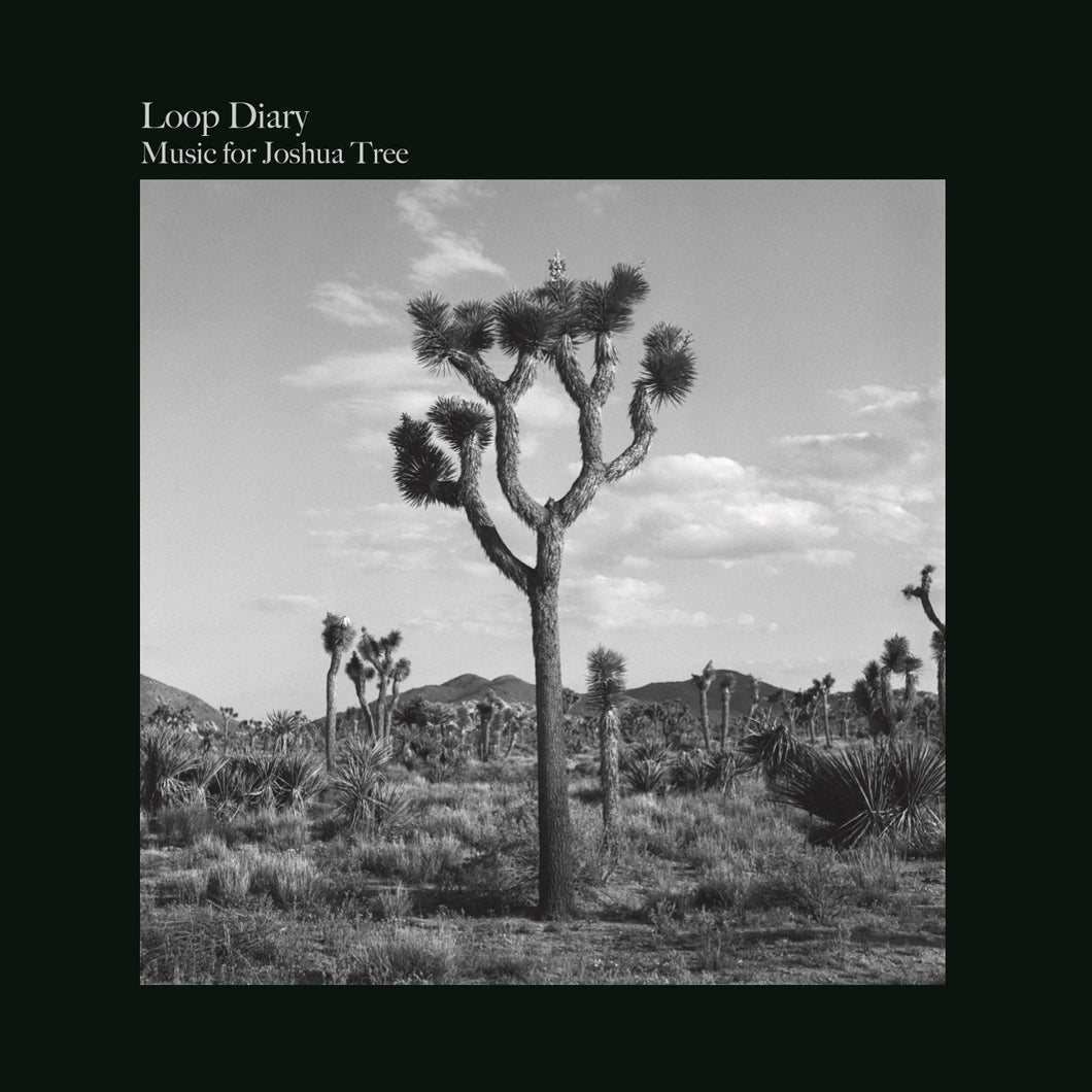 Loop Diary “Music for Joshua Tree”