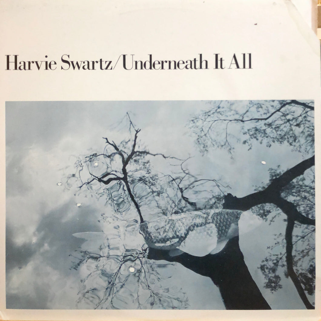 Harvie Swartz “Underneath It All”