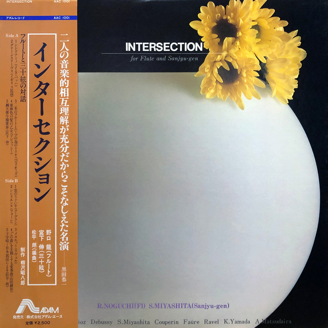 　Ryu Noguchi, Susumu Miyashita “Intersection”
