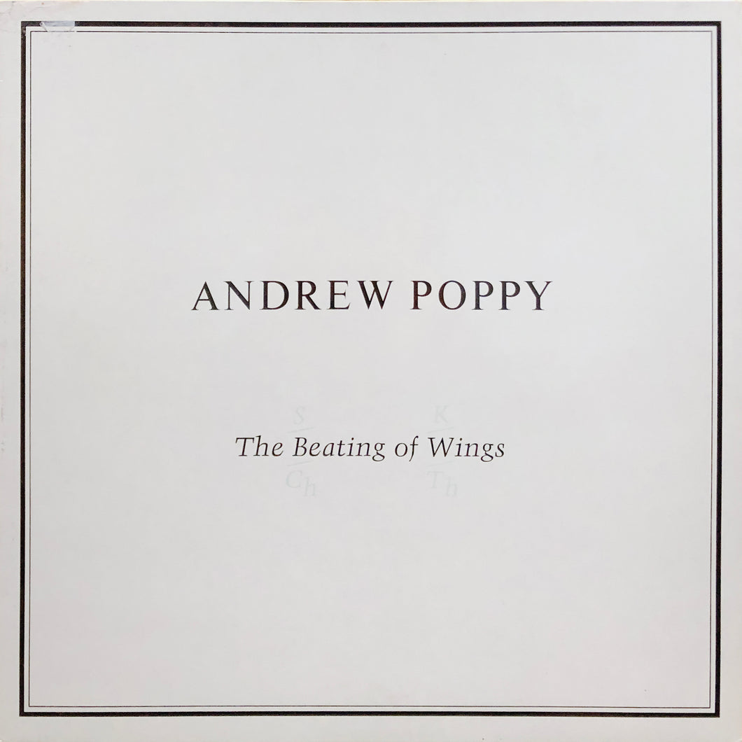 Andrew Poppy “The Beating of Wings”