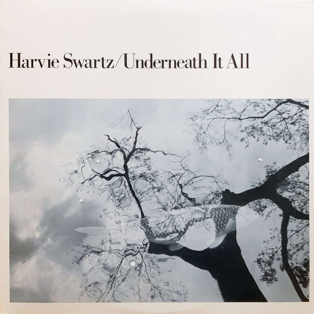Harvie Swartz “Underneath It All”