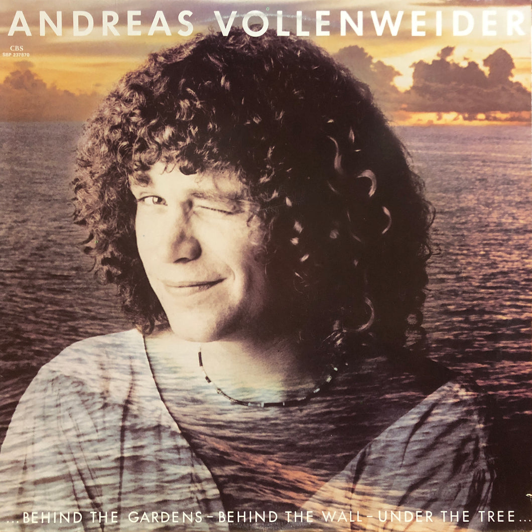 Andreas Vollenweider “…Behind the Gardens - Behind the Wall…”
