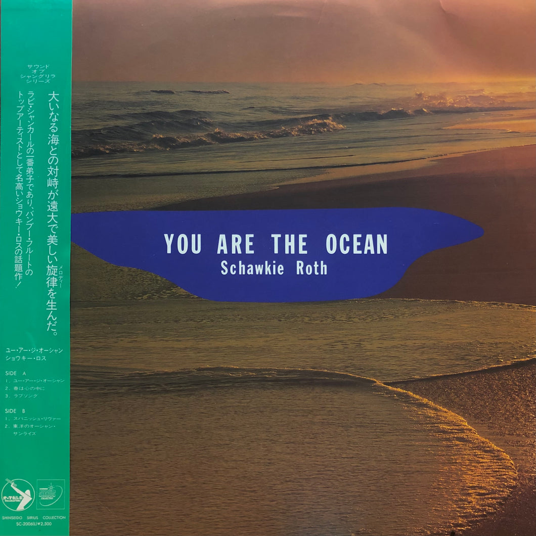 Schawkie Roth “You are the Ocean”