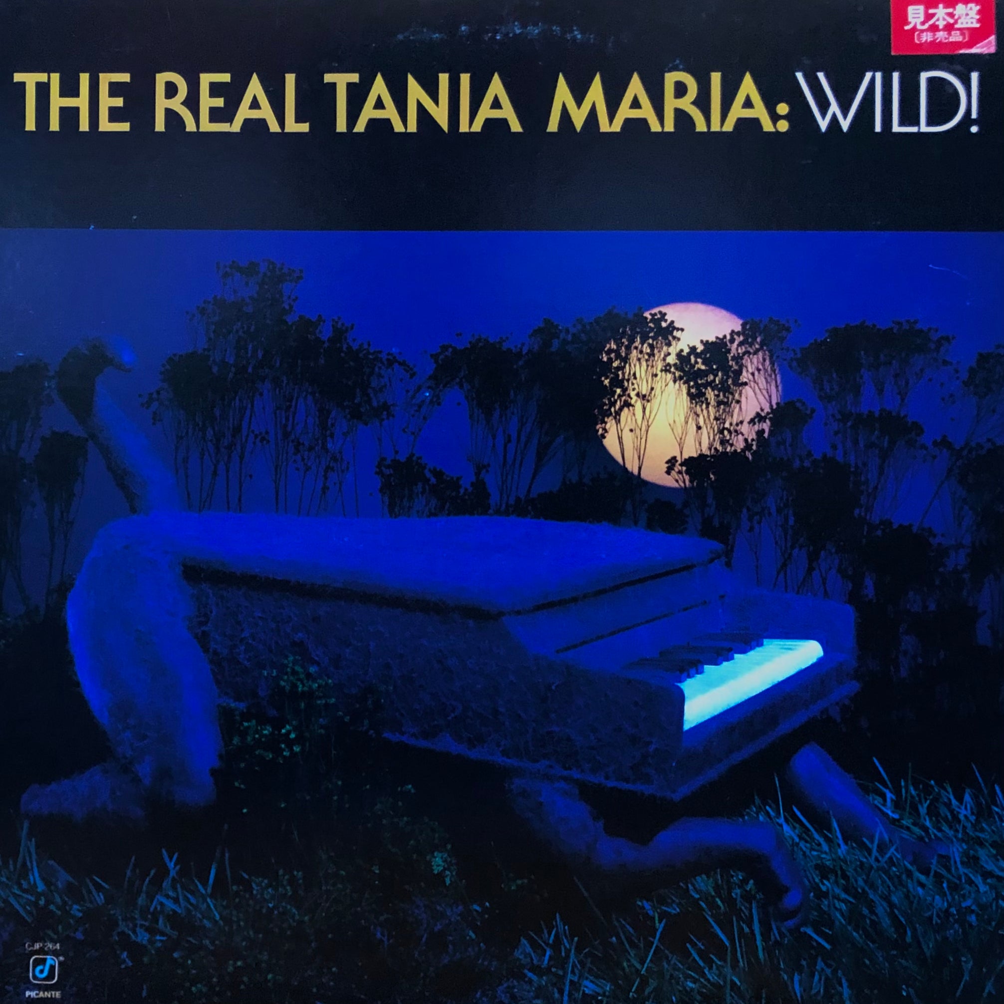 The Real Tania Maria “Wild!” – PHYSICAL STORE